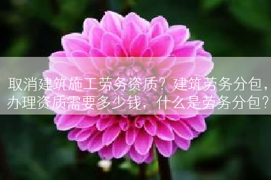 取消建筑施工劳务资质？建筑劳务分包，办理资质需要多少钱，什么是劳务分包？