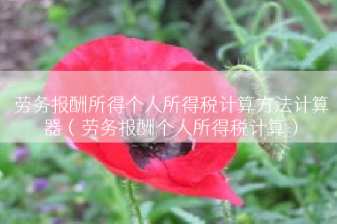 劳务报酬所得个人所得税计算方法计算器（劳务报酬个人所得税计算）
