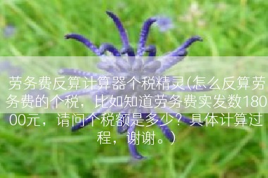 劳务费反算计算器个税精灵(怎么反算劳务费的个税，比如知道劳务费实发数18000元，请问个税额是多少？具体计算过程，谢谢。)