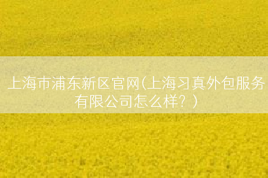 上海市浦东新区官网(上海习真外包服务有限公司怎么样？)