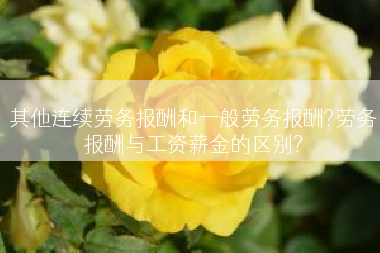 其他连续劳务报酬和一般劳务报酬?劳务报酬与工资薪金的区别?