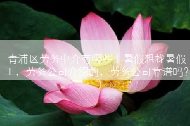 青浦区劳务中介有哪些（暑假想找暑假工，劳务公司介绍的，劳务公司靠谱吗？）