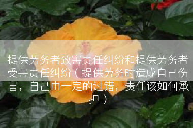 提供劳务者致害责任纠纷和提供劳务者受害责任纠纷（提供劳务时造成自己伤害，自己由一定的过错，责任该如何承担）