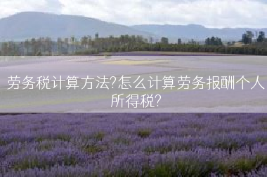 劳务税计算方法?怎么计算劳务报酬个人所得税?