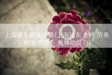 上海浦东新区疫情(上海浦东 金桥 劳务所 在哪里？ 具体地址？)