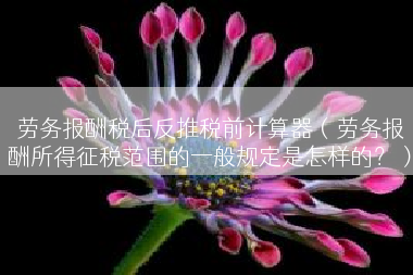 劳务报酬税后反推税前计算器（劳务报酬所得征税范围的一般规定是怎样的？）