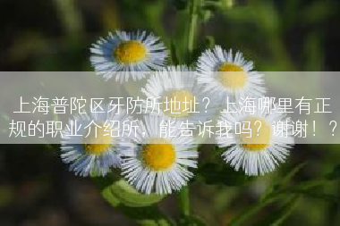 上海普陀区牙防所地址？上海哪里有正规的职业介绍所，能告诉我吗？谢谢！？