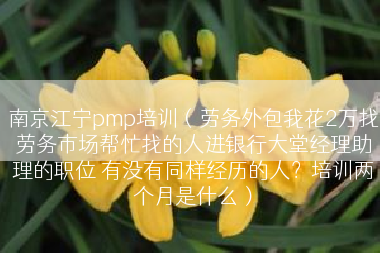 南京江宁pmp培训（劳务外包我花2万找劳务市场帮忙找的人进银行大堂经理助理的职位 有没有同样经历的人？培训两个月是什么）