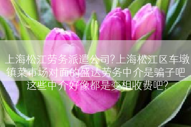 上海松江劳务派遣公司?上海松江区车墩镇菜市场对面的盛达劳务中介是骗子吧 这些中介好像都是变相收费吧?