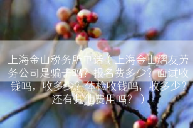 上海金山税务所电话（上海金山熠友劳务公司是骗子吗？报名费多少？面试收钱吗，收多少？体检收钱吗，收多少？还有其他费用吗？）