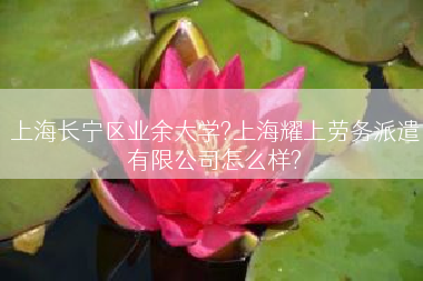 上海长宁区业余大学?上海耀上劳务派遣有限公司怎么样?