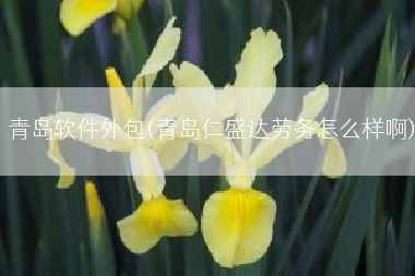 青岛软件外包(青岛仁盛达劳务怎么样啊)