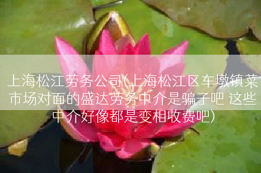上海松江劳务公司(上海松江区车墩镇菜市场对面的盛达劳务中介是骗子吧 这些中介好像都是变相收费吧)
