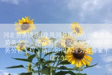 河北劳务资质(我是河北唐山的一家建筑劳务企业，刚在贵地武汉承接了一项劳务分包工程，请问如何办理劳务备案手续？)