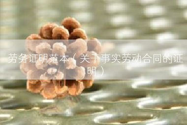 劳务证明范本（关于事实劳动合同的证明）