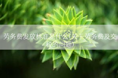 劳务费发放标准是什么(关于劳务费及交税的问题)