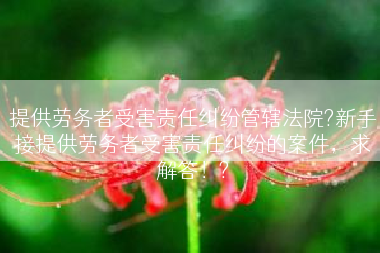 提供劳务者受害责任纠纷管辖法院?新手接提供劳务者受害责任纠纷的案件，求解答！?