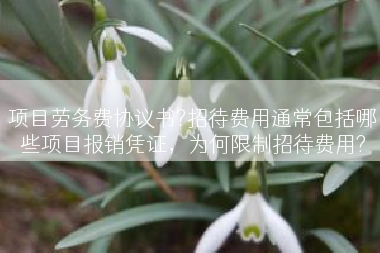 项目劳务费协议书?招待费用通常包括哪些项目报销凭证，为何限制招待费用?