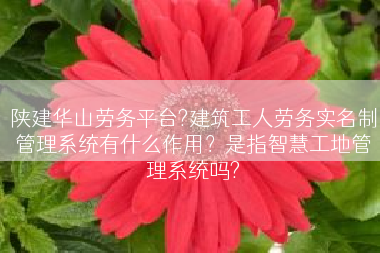 陕建华山劳务平台?建筑工人劳务实名制管理系统有什么作用？是指智慧工地管理系统吗?