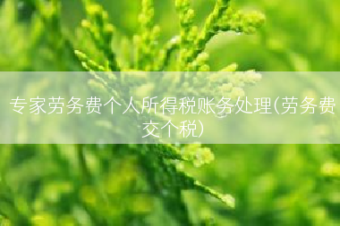 专家劳务费个人所得税账务处理(劳务费交个税)