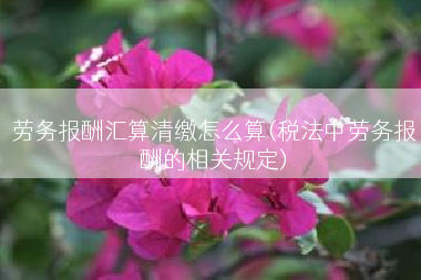 劳务报酬汇算清缴怎么算(税法中劳务报酬的相关规定)