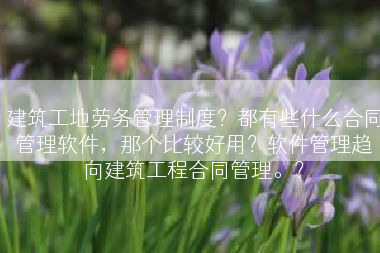 建筑工地劳务管理制度？都有些什么合同管理软件，那个比较好用？软件管理趋向建筑工程合同管理。？