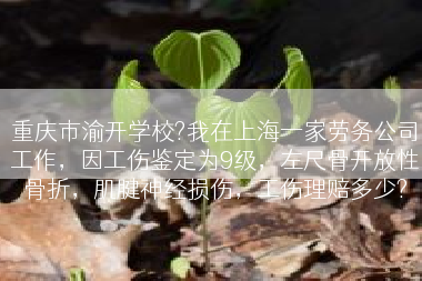 重庆市渝开学校?我在上海一家劳务公司工作，因工伤鉴定为9级，左尺骨开放性骨折，肌腱神经损伤，工伤理赔多少?