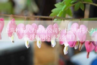 上海外服人力资源公司？上海知轩人力资源有限公司怎么样？