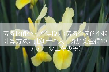 劳务报酬个人所得税计(劳务合同的个税计算方法，比如一个人工资加奖金得10万元，要上多少税)