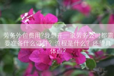 劳务外包费用?我想开一家劳务公司都需要准备什么证件？流程是什么？还望具体点?
