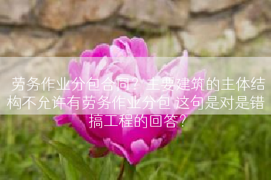 劳务作业分包合同？主要建筑的主体结构不允许有劳务作业分包 这句是对是错 搞工程的回答？