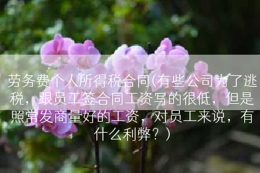 劳务费个人所得税合同(有些公司为了逃税，跟员工签合同工资写的很低，但是照常发商量好的工资，对员工来说，有什么利弊？)