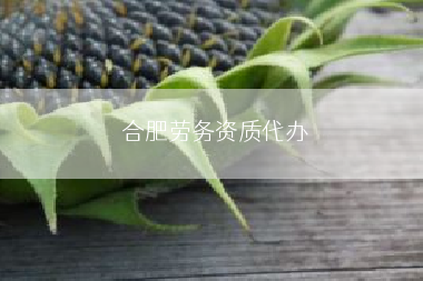 合肥劳务资质代办