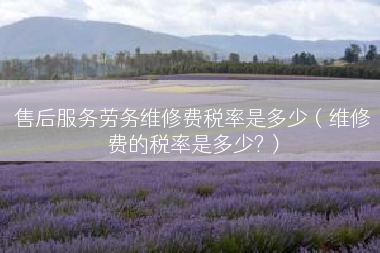 售后服务劳务维修费税率是多少（维修费的税率是多少?）