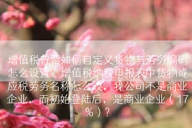 增值税普票如何自定义货物与劳务编码怎么设置？增值税纳税申报表中货物或应税劳务名称怎么改，我公司不是商业企业，而初始登陆后，是商业企业（17%）？