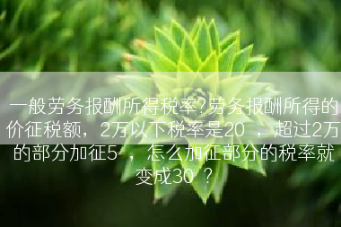 一般劳务报酬所得税率?劳务报酬所得的价征税额，2万以下税率是20％，超过2万的部分加征5％，怎么加征部分的税率就变成30％?