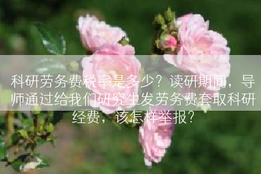 科研劳务费税率是多少？读研期间，导师通过给我们研究生发劳务费套取科研经费，该怎样举报？