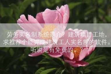 劳务实名制系统简介？建筑项目工地，求推荐个能完成建筑工人实名制的软件。听说是有免费的。？