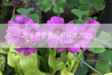 学生劳务费扣税标准2021