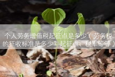 个人劳务增值税起征点是多少（劳务税的征收标准是多少？起征点、税率等等）