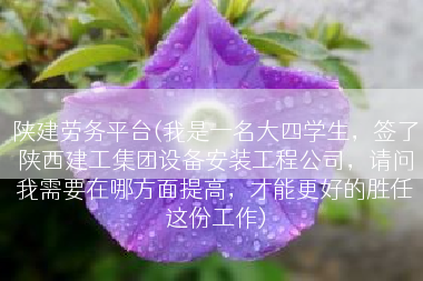 陕建劳务平台(我是一名大四学生，签了陕西建工集团设备安装工程公司，请问我需要在哪方面提高，才能更好的胜任这份工作)