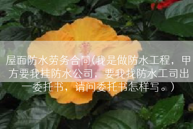 屋面防水劳务合同(我是做防水工程，甲方要我挂防水公司，要我找防水工司出一委托书，请问委托书怎样写。)