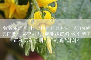 劳务派遣许可证?请问广州(本地人)的劳务证要到哪里办?要带哪些资料,这个劳务证和劳动手册一样的吗?谢谢?
