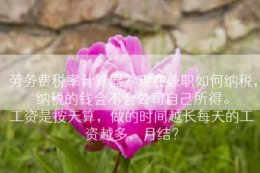 劳务费税率计算器？现在兼职如何纳税，纳税的钱会不会公司自己所得。
工资是按天算，做的时间越长每天的工资越多，月结？