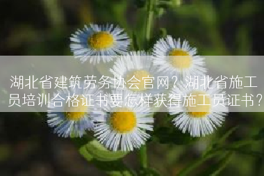 湖北省建筑劳务协会官网？湖北省施工员培训合格证书要怎样获得施工员证书？