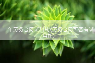 一年劳务合同试用期(劳务合同可否有试用期)