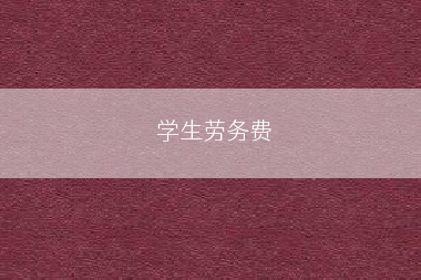 学生劳务费