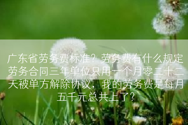 广东省劳务费标准？劳务费有什么规定劳务合同三年单位只用一个月零二十二天被单方解除协议，我的劳务费是每月五千元总共上了？