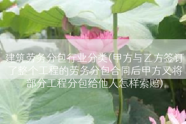 建筑劳务分包行业分类(甲方与乙方签订了整个工程的劳务分包合同后甲方又将部分工程分包给他人怎样索赔)