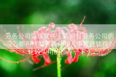 劳务公司管理软件（请问有劳务公司的没？都用啥财务软件和人事管理软件？比较实用的推荐一下）